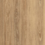 555 Bright Spotted Gum