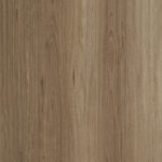 560 Hazel Blackbutt