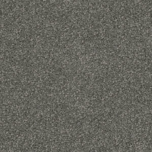 First View carpet color 95 Marble
